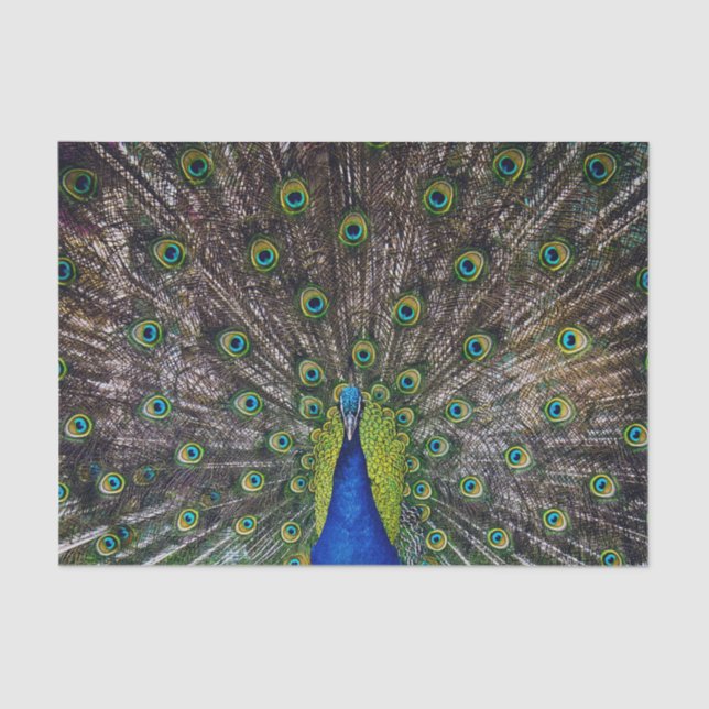 Papier Mousseline Beau Peacock (Recto)
