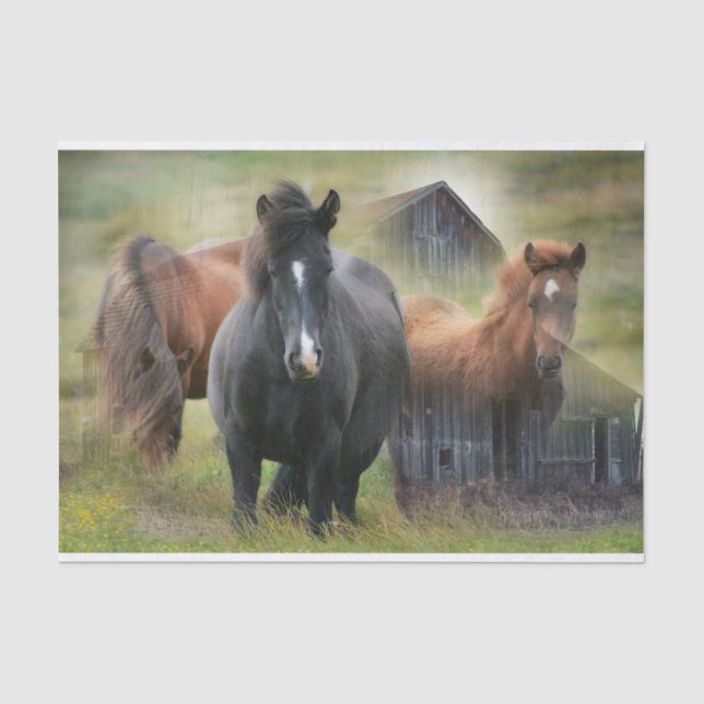 Papier Mousseline Beaux chevaux et grange rustique (Recto)