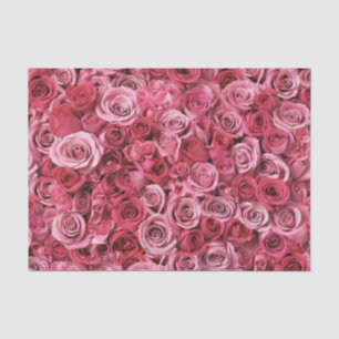 Papier Mousseline Beaux roses roses