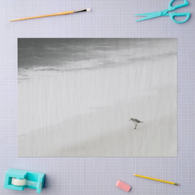 Papier Mousseline Bécasseau côtier sur la plage (Artisanat)