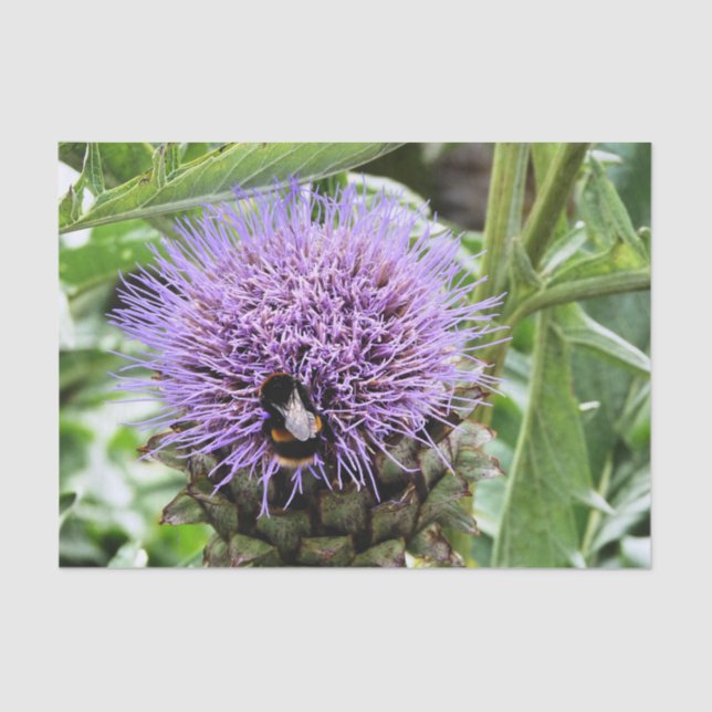 PAPIER MOUSSELINE BEE (Recto)