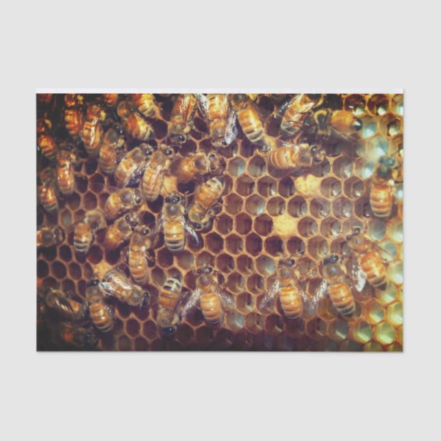 Papier Mousseline Bee Hive (Recto)