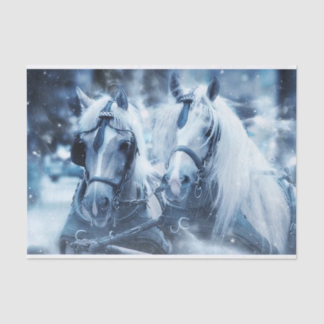Papier Mousseline Belle équipe Cheval Hiver Conduite photo (Recto)