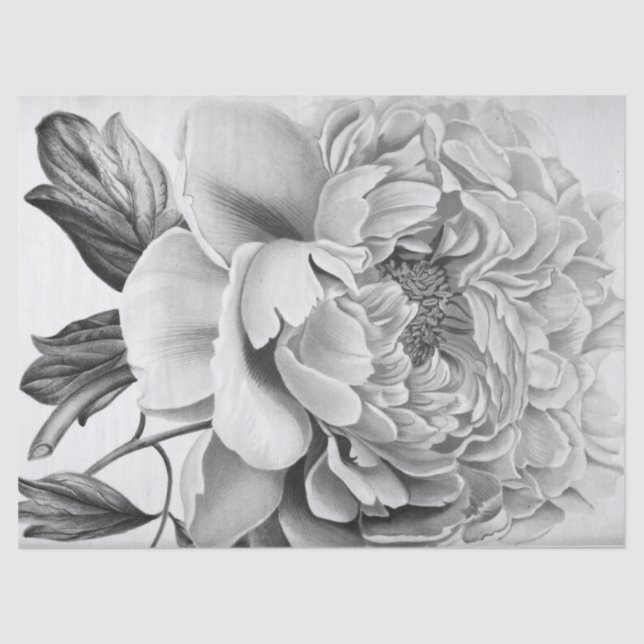 Papier Mousseline Belle fleur de dahlia (Recto)
