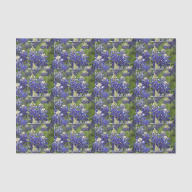 Papier Mousseline Belle fleur d'état bleue du Texas de Bluebonnet de (Recto)