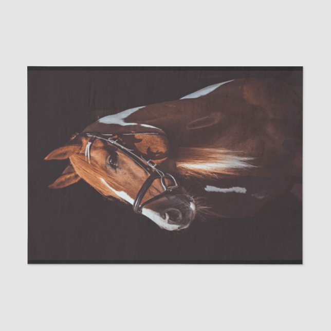 Papier Mousseline Belle peinture Brown Cheval Portrait Photo (Recto)