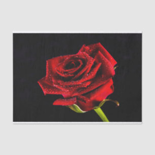 Papier Mousseline Belle rose rouge