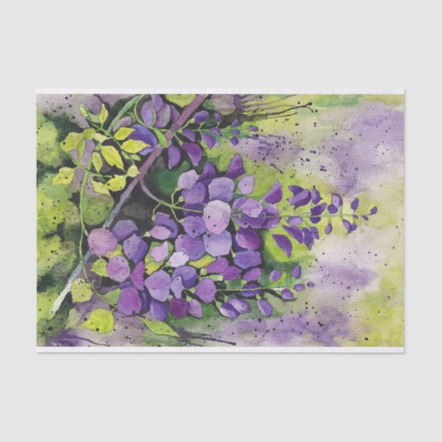 Papier Mousseline Belles Fleurs De Wisteria En Aquarelle (Recto)