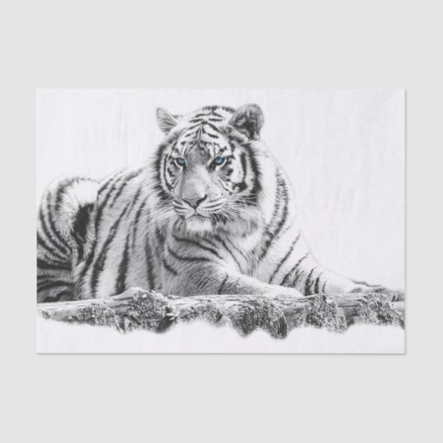 Papier Mousseline Bengal White Tiger (Recto)