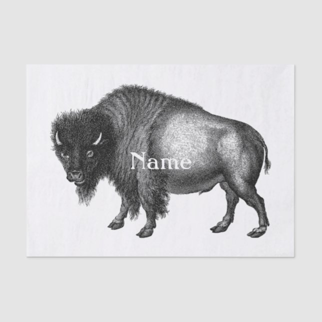 Papier Mousseline Big Bison Buffalo Thunder-Cove  (Recto)