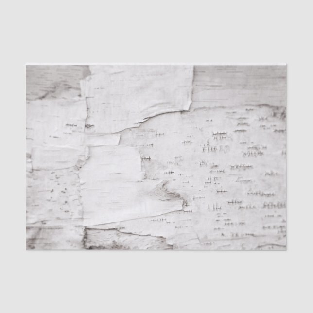 Papier Mousseline Birch Bark Tree White Rustic Country Woodland (Recto)
