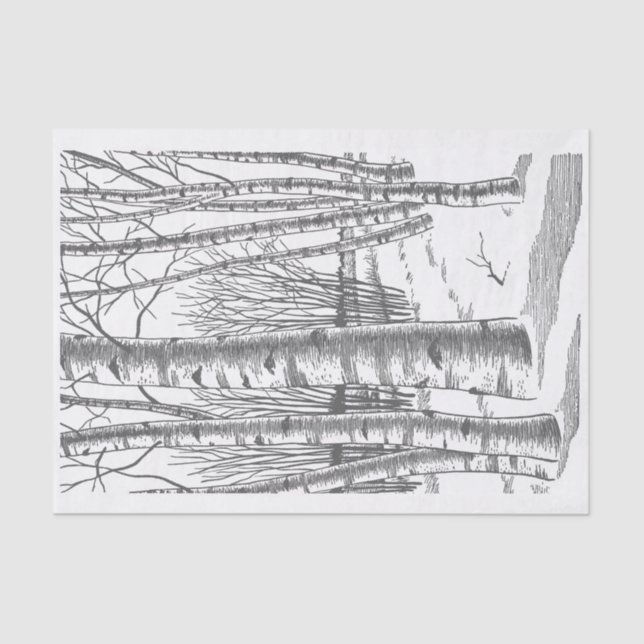 Papier Mousseline Birch Trees En Hiver (Recto)