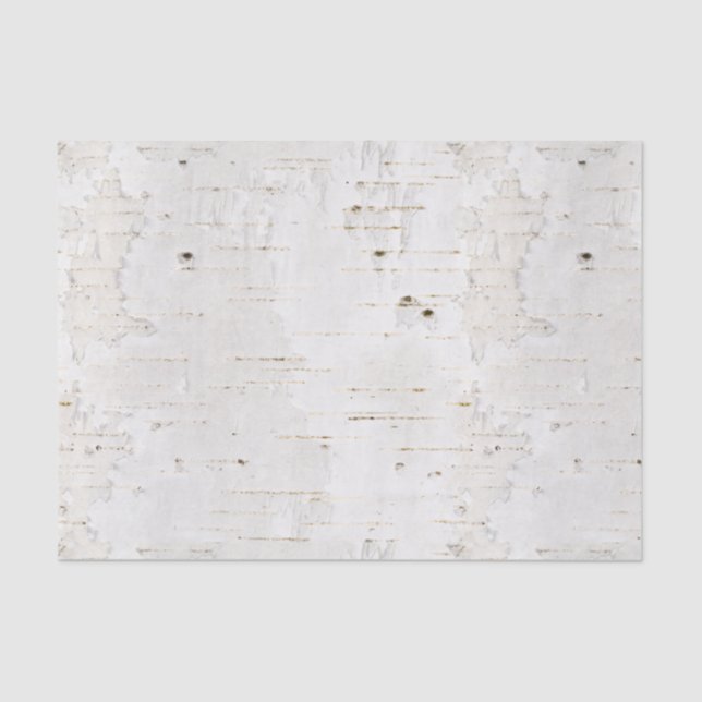 Papier Mousseline Birchbark (Recto)