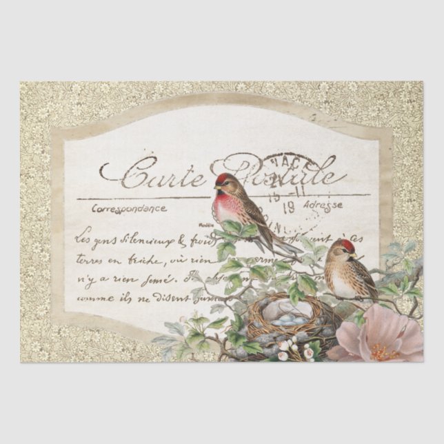 Papier Mousseline Bird Nest Gold Floral Carte Postale Script Françai (Recto)