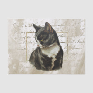 Papier Mousseline Black Cat Gold French Script Gold Frame Vintage