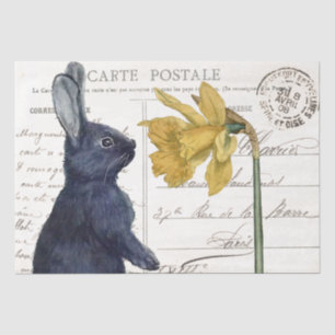 Papier Mousseline Black Rabbit Daffodique Pâques Carte Postale