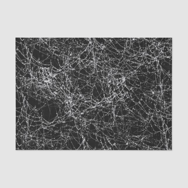 Papier Mousseline Black & Silvery Spider Webs Chic Halloween Party (Recto)