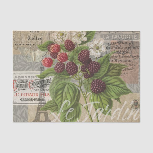 Papier Mousseline Blackberries Floral Garden Flower Papillon Art (Recto)
