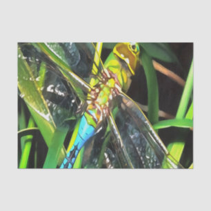 Papier Mousseline Bleu Dragonfly Shimmering Wings Peinture