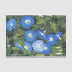 Papier Mousseline Blue Morning Glory par Marianne North