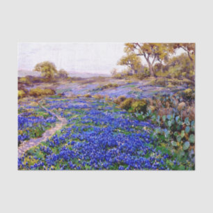 Papier Mousseline Bluebonnets à Twilight au nord de San Antonio,
