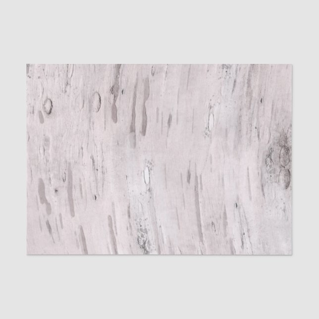 Papier Mousseline Bois de bouleau blanc Grange rustique Ferme Chic (Recto)