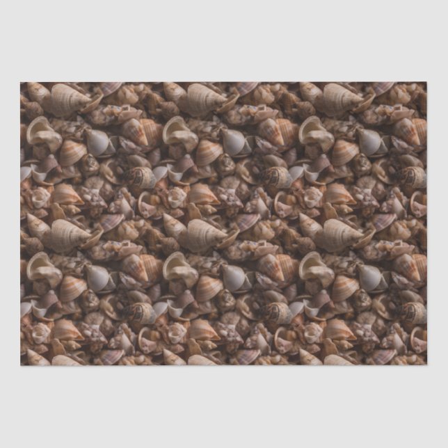 Papier Mousseline Boîte de coquillages Motif répétitif (Recto)