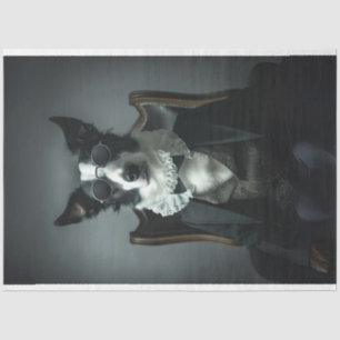 Papier Mousseline Bordure Collie dans Suite Shades Découpage