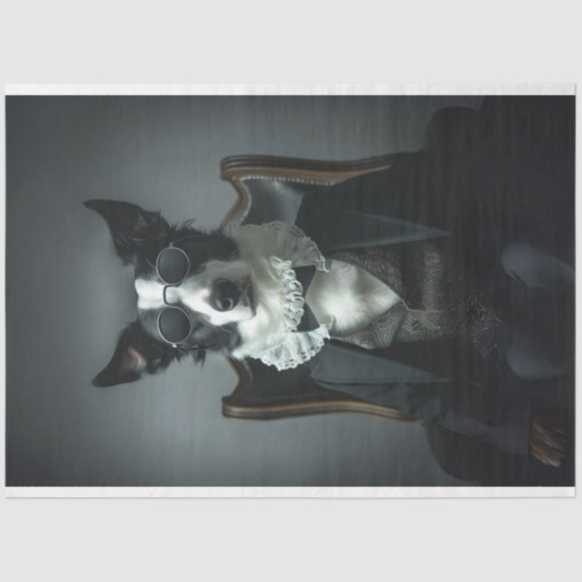 Papier Mousseline Bordure Collie dans Suite Shades Découpage (Recto)