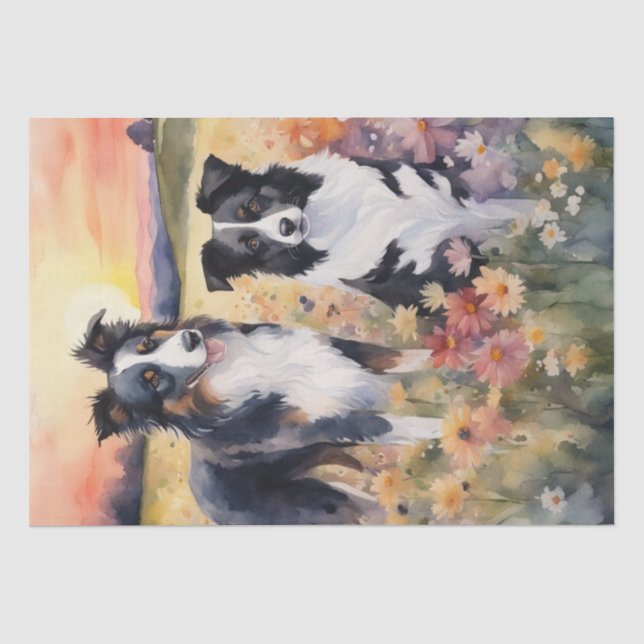 Papier Mousseline Bordure Collie et découpage australien Shepard (Recto)