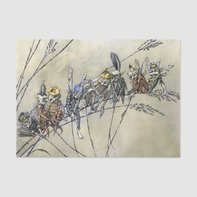 Papier Mousseline "Bother the Gnat" de A Duncan Carse (Recto)