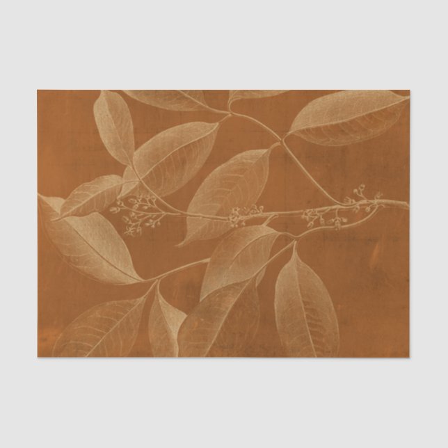 Papier Mousseline Botnie VI moderne (Recto)