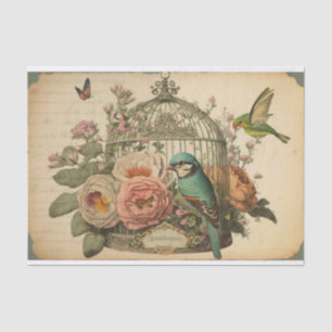 Papier Mousseline Bouleau vintage Oiseaux découpage fleuri vert