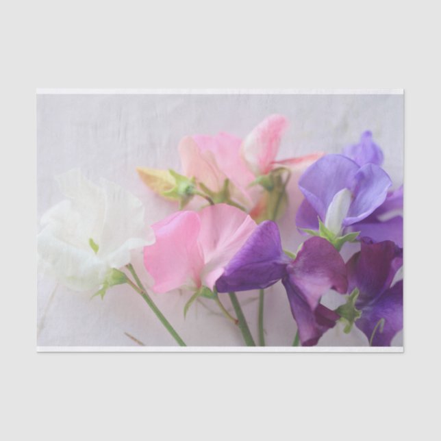 Papier Mousseline Bouquet de pois doux (Recto)