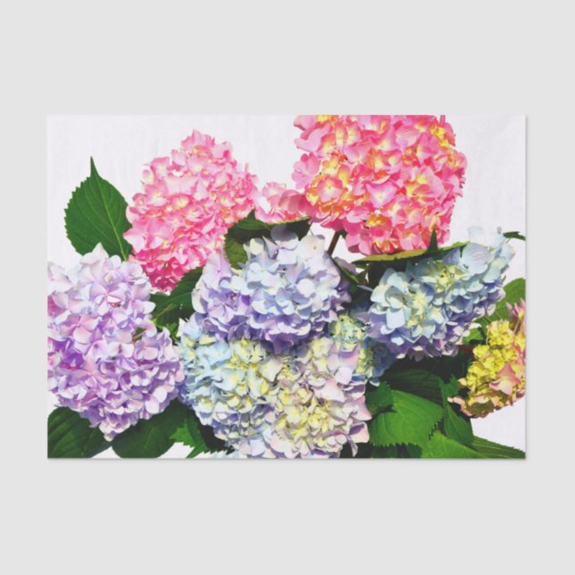 Papier Mousseline Bouquet Hydrangea (Recto)