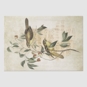 Papier Mousseline Boutique d'oiseaux Berries Musique Découpage Vinta