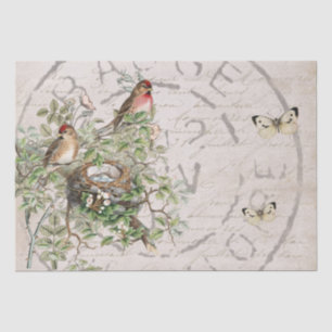 Papier Mousseline Bouton postal pour nid d'oiseaux Script français B