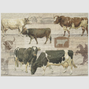 Papier Mousseline Bovins de ferme rustique Bovins de ferme Ferme Déc