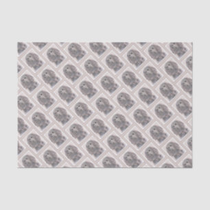 Papier Mousseline Boykin Peinture Espagnole - Cute Original Chien Ar