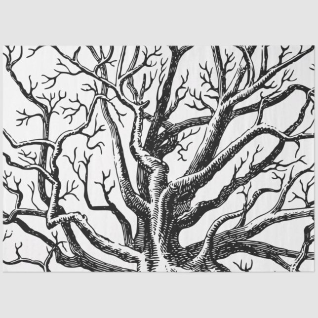 Papier Mousseline Branches rustiques Abstraites en noir et blanc (Recto)