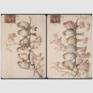 Papier Mousseline Branchy Birds