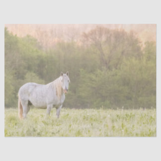 Papier Mousseline Broadfoot Mare