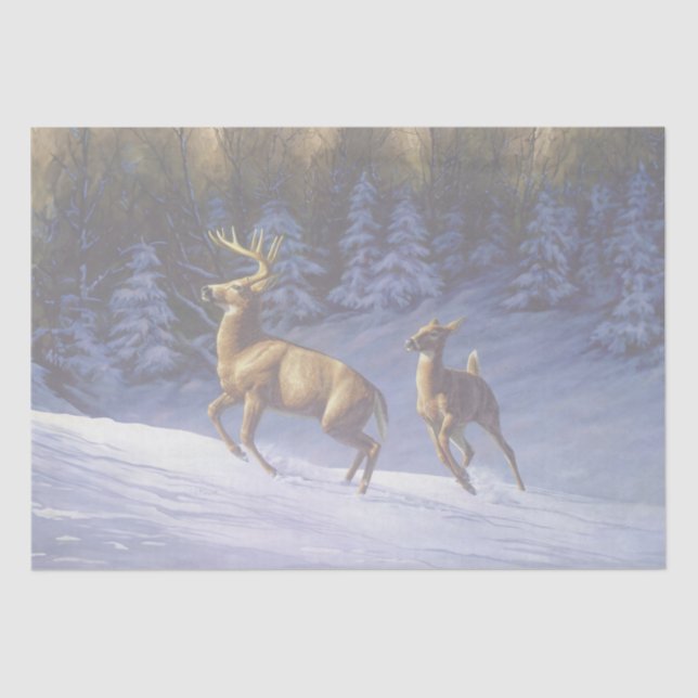 Papier Mousseline Buck & Doe de cerf blanc en neige hivernale (Recto)