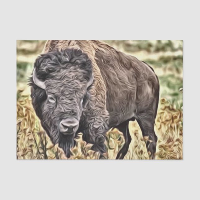 Papier Mousseline Buffle occidental Abstrait (Recto)