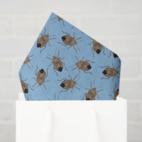 Bugs puants Brown sur motif bleu clair