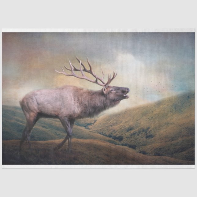 Papier Mousseline Bull Elk déroutant la faune (Recto)