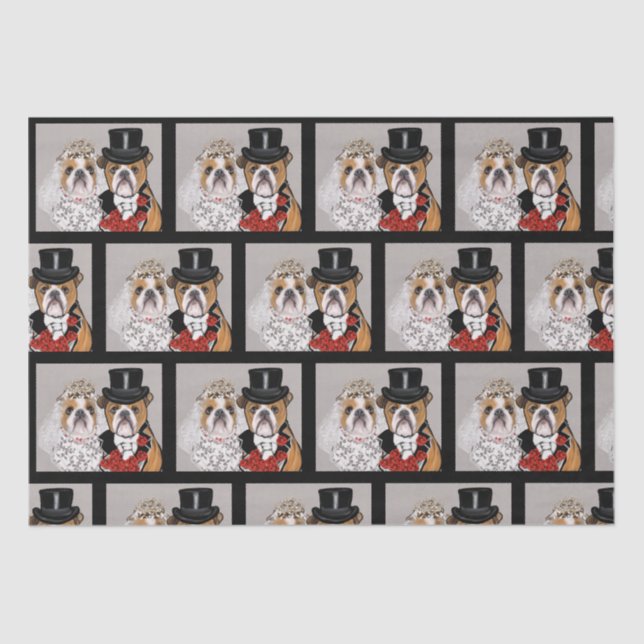 Papier Mousseline Bulldog (Recto)