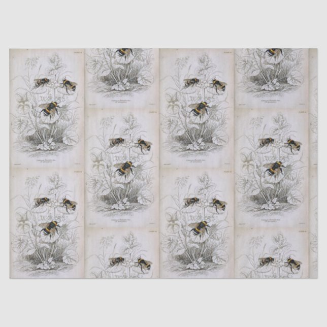 Papier Mousseline Bumble Bee Botanique Papier Tissu (Recto)