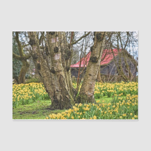 Papier Mousseline Cabine d'été Complet, Arbre ancien et Fleurs Jaune (Recto)
