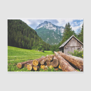 Papier Mousseline Cabine mignon dans une prairie estivale